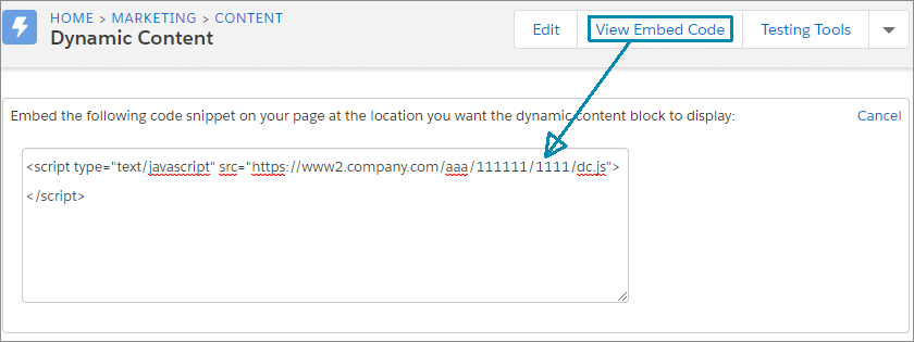 Find your Javascript snippet