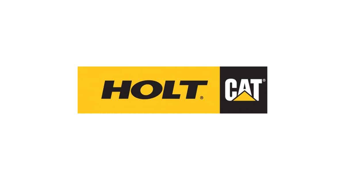 holtcat_logo_feature