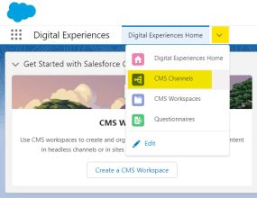 The Digital Experiences home tab options